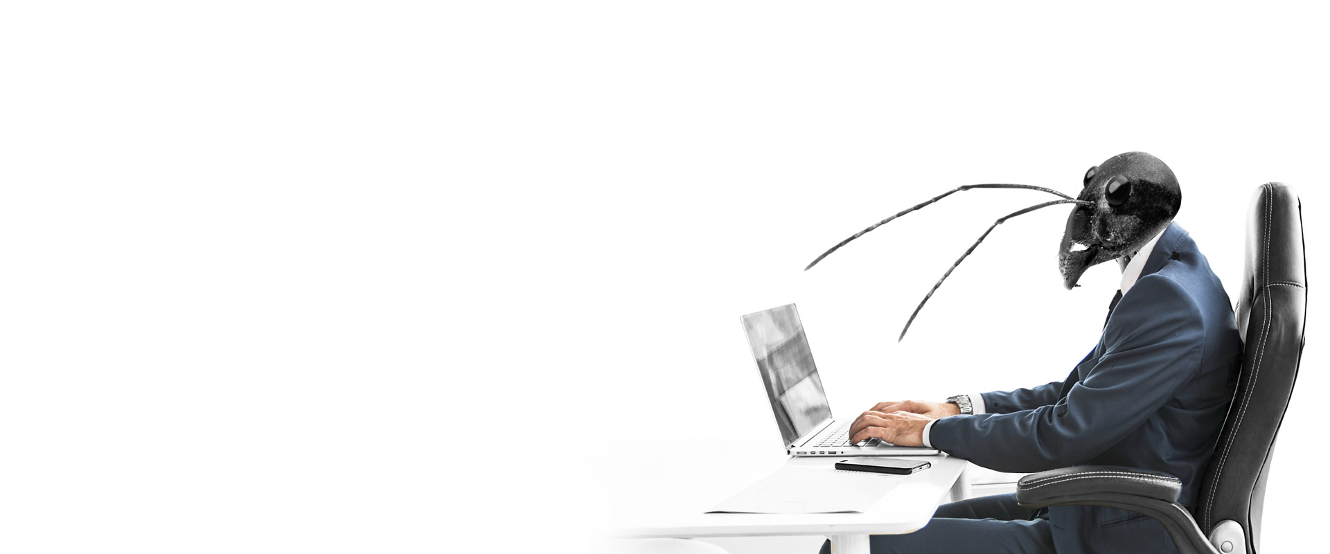 webmaster webdesigner nice